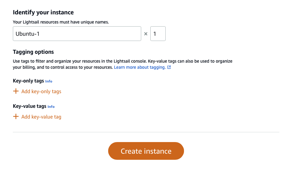 aws lightsail instance identify