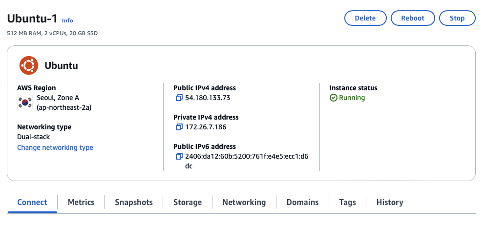 aws lightsail instance status